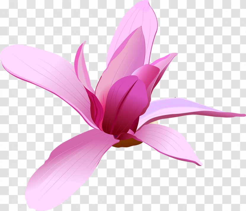 Pink Flowers Clip Art - Blue Rose Transparent PNG