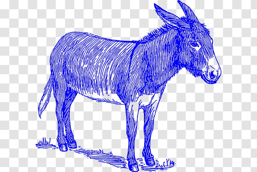 Donkey Mule Sketch Drawing Painting - Watercolor Transparent PNG