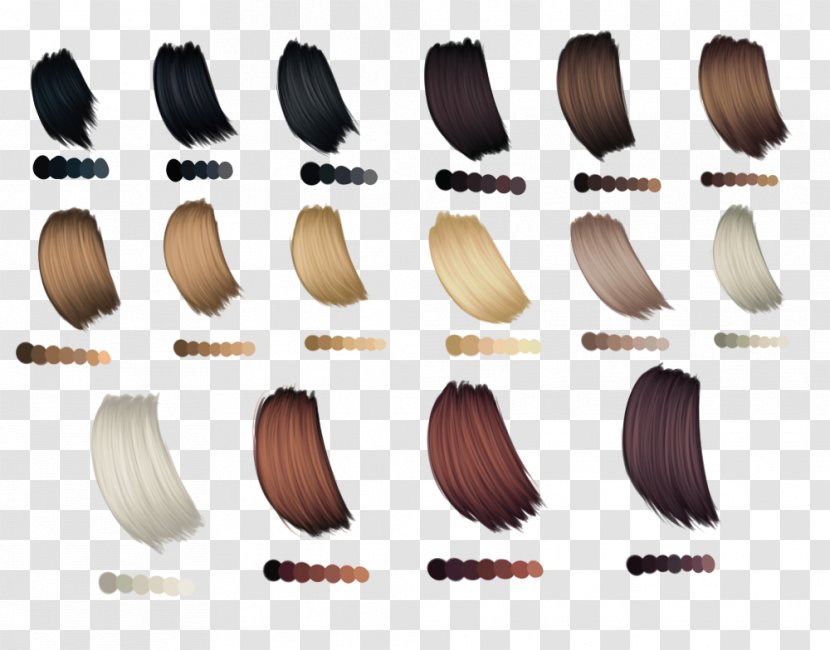 Hair Coloring Palette Human Color - Brush Transparent PNG