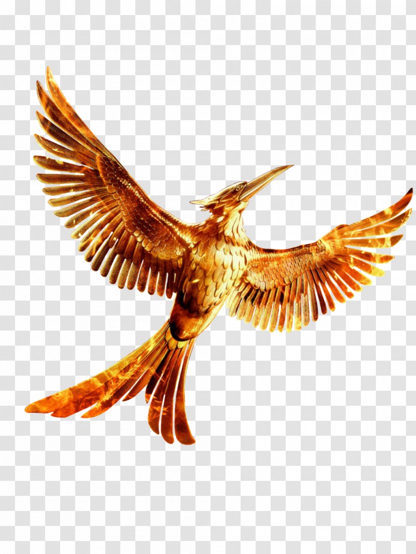 Mockingjay The Hunger Games YouTube Clip Art - Eagle - HD Transparent PNG