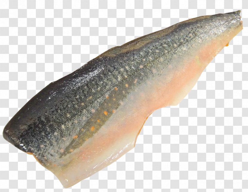 Sashimi Fishing Seafood Salmon - Sardine - SALMON Transparent PNG