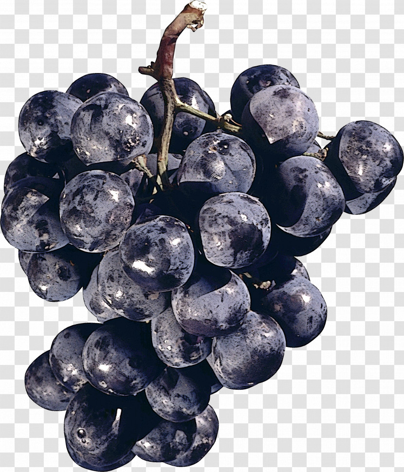 Grape Fruit Grapevine Family Superfood Plant Transparent PNG