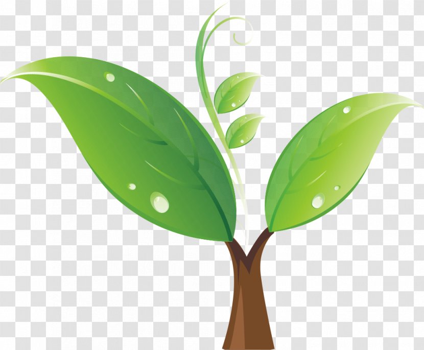 Seedling Tree Clip Art - Green Sprout Transparent PNG