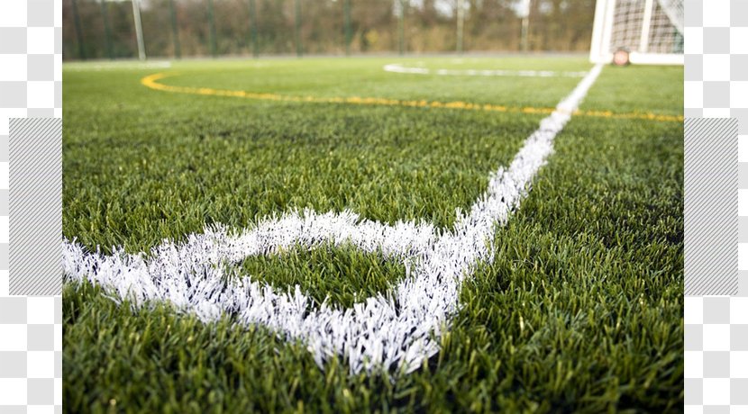 Artificial Turf Football Pitch Lawn Keynsham Town F.C. - Grass Family Transparent PNG