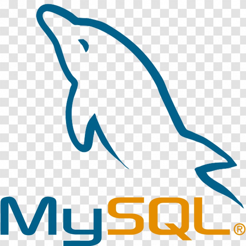 MySQL Database Web Development Computer Software - Marine Mammal - Dolphin Transparent PNG