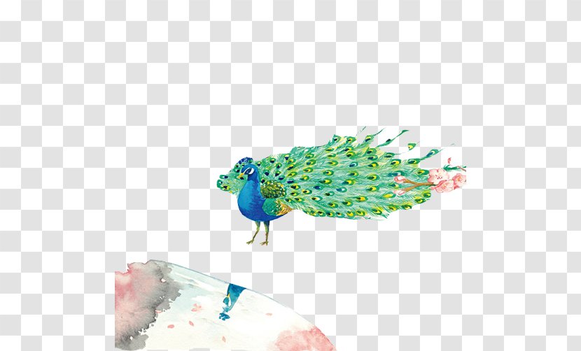 Graphic Design Pattern - Organism - FIG Creative Peacock Image Transparent PNG