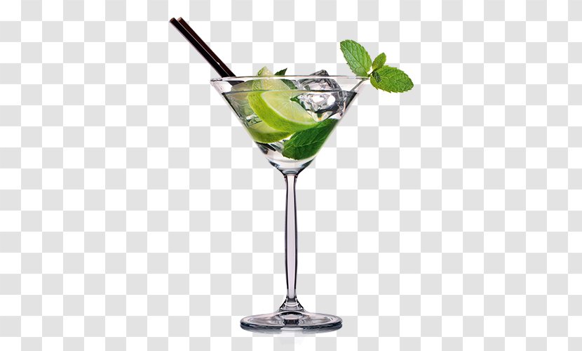 Cocktail Garnish Gin And Tonic Martini - Wine - Healthy Drinks Transparent PNG