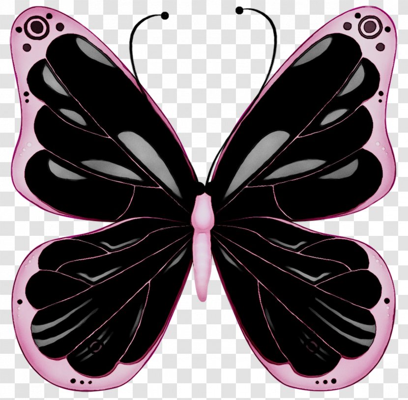 Glasswing Butterfly Clip Art Pink Image - Insect Transparent PNG