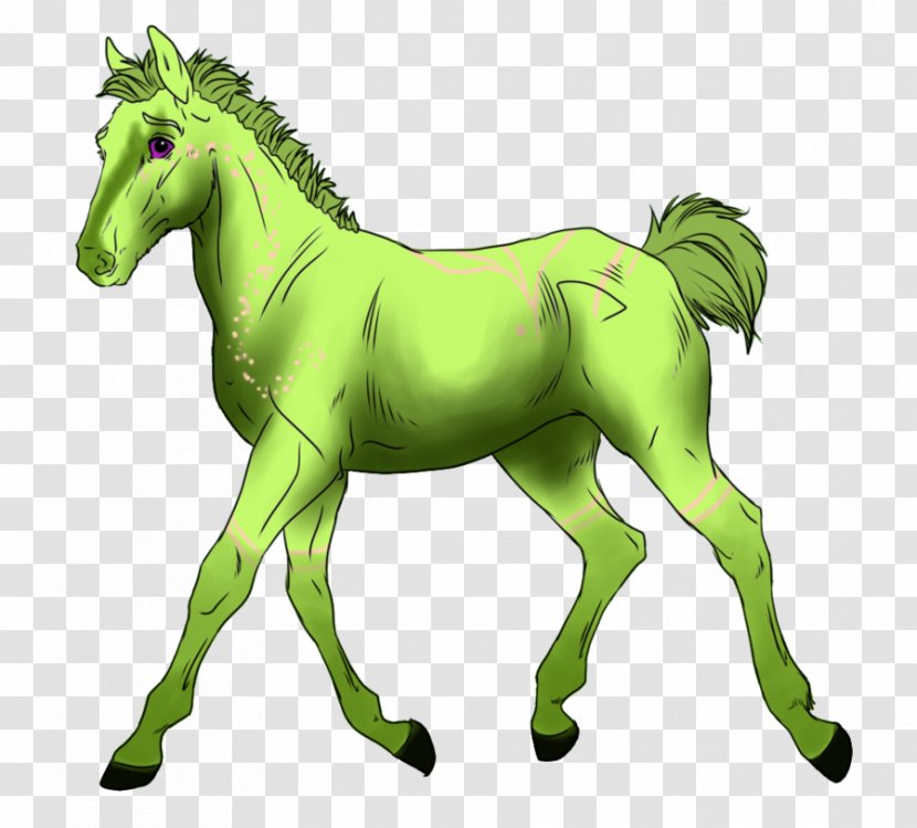 Mane Mustang Foal Stallion Colt - Fictional Character - Ninja World Transparent PNG