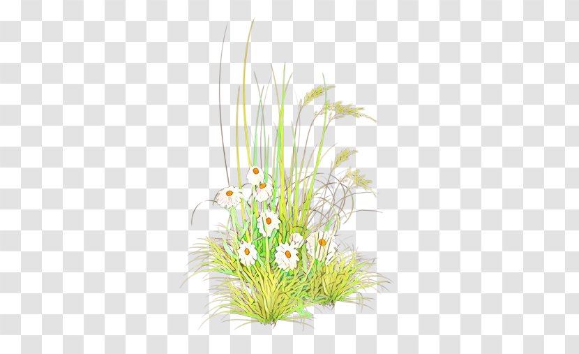 Artificial Flower - Grass Family - Houseplant Flowering Plant Transparent PNG