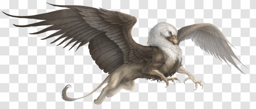 Griffin DeviantArt Bestiary Aventurie - Fauna Transparent PNG