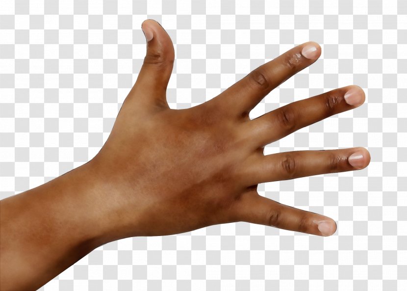 Finger Hand Skin Thumb Arm - Wrist Sign Language Transparent PNG
