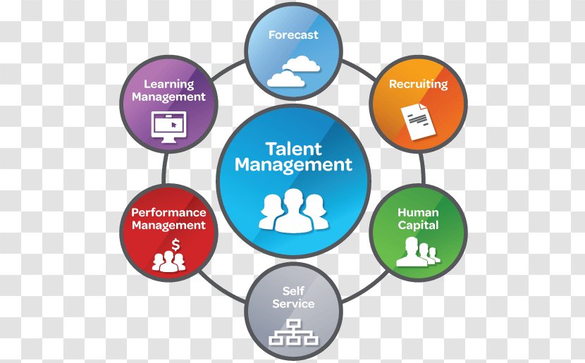 Talent Management System Human Resource Organization - Technology - Recruiting Talents Transparent PNG