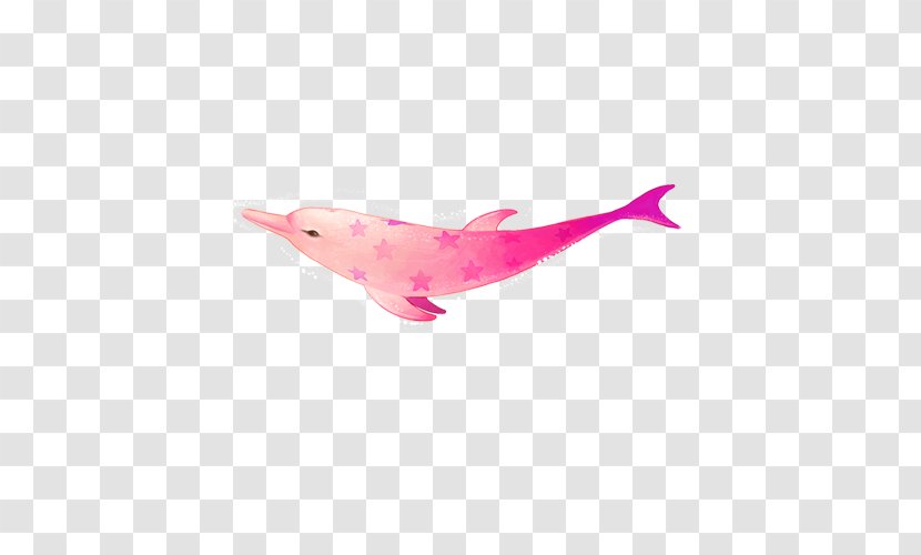 Seabed Euclidean Vector - Magenta - Fish Transparent PNG
