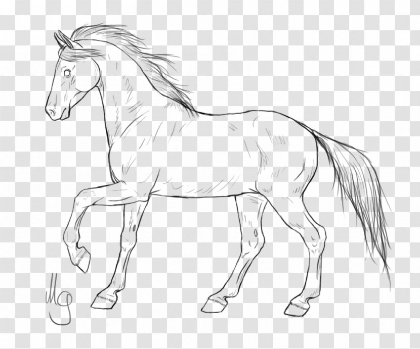 Mustang Horses Pony Line Art American Quarter Horse - Tack - Drawing Transparent PNG