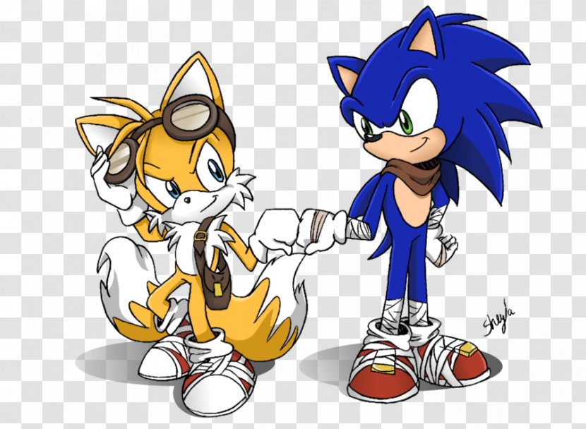 Sonic Chaos Tails The Hedgehog 2 Ariciul - Watercolor - Painted Cat Transparent PNG
