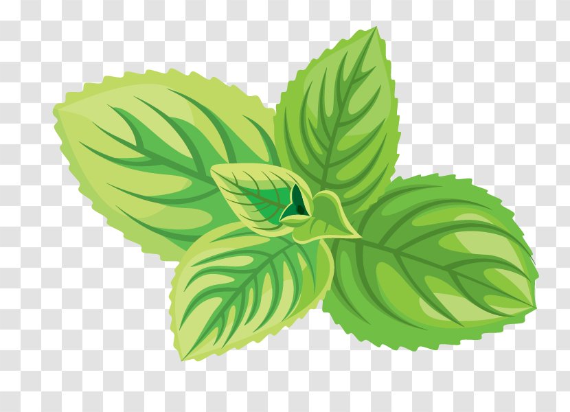 Green Tea Cosmetics Herb Icon - Logo - Natural Herbs Transparent PNG