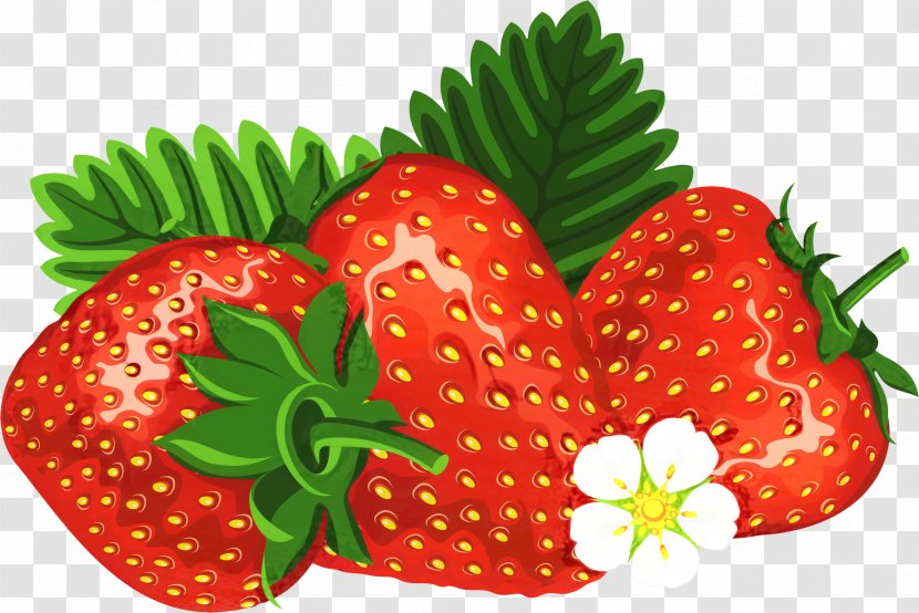 Ice Cream Background - Frutti Di Bosco - Alpine Strawberry Vegan Nutrition Transparent PNG