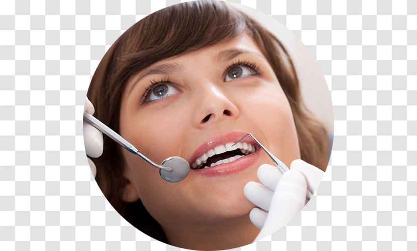 Dentistry Orthodontics Therapy Feya, - Endodontics - Surgery Transparent PNG