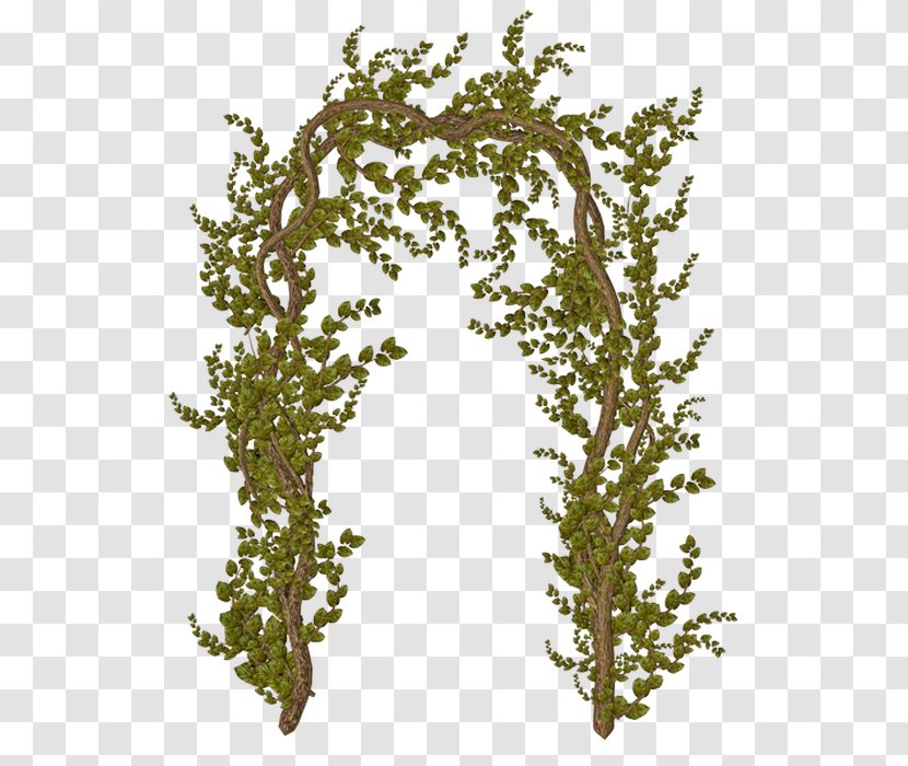 Twig Passion Leaf Marriage Happiness - Cartoon Transparent PNG