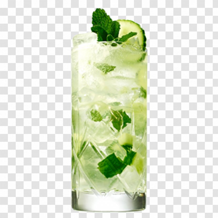 Gin And Tonic Cocktail Buck Distilled Beverage - Cucumber Transparent PNG