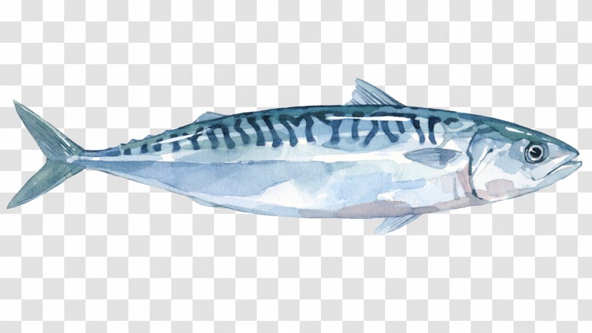 Thunnus Mackerel Sardine Fish Products Salmon - Herring Transparent PNG
