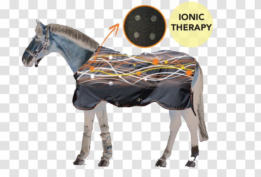 Rambo Ionic Therapy Horse Boot Fly Buster With Vamoose Rug Stable 200G - Bridle Transparent PNG