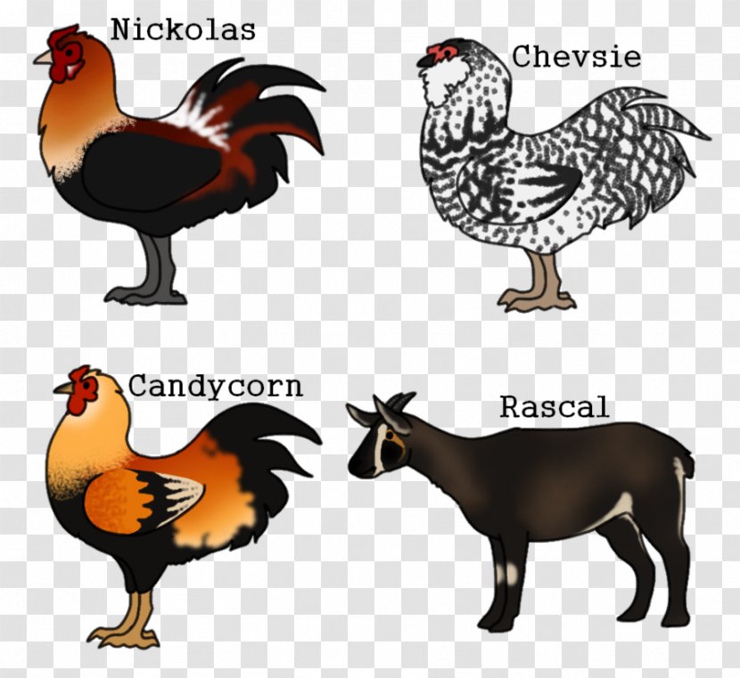 Rooster Fauna Beak Chicken As Food - Livestock - Ardagh Hoard Transparent PNG