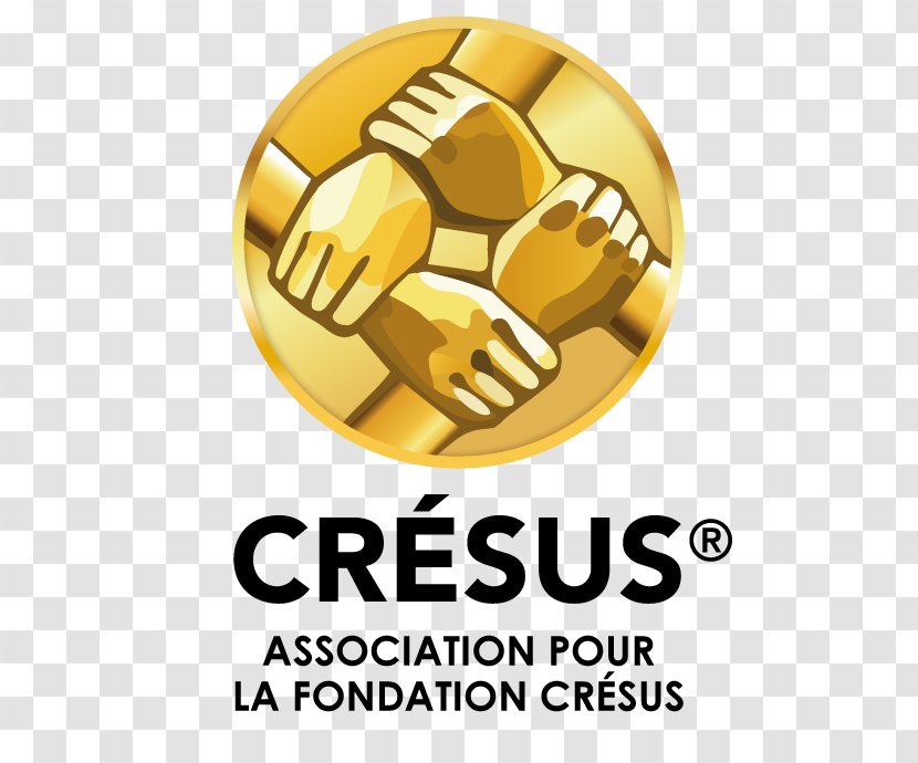 Cresus Ile-de-France Foundation Voluntary Association Haushaltsnotlage Communauté De Communes Du Pays La Zorn - Portail Humanitaire - Report Summary Transparent PNG