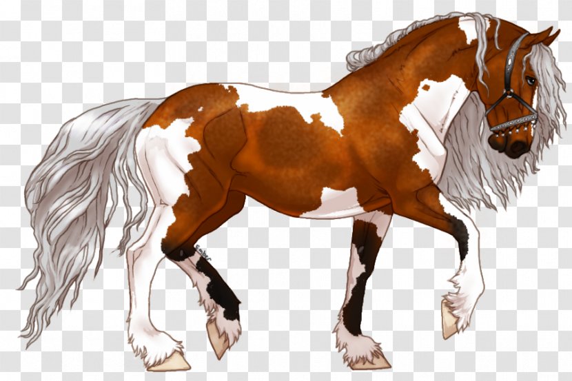 Mane Mustang Stallion Foal Pony Transparent PNG