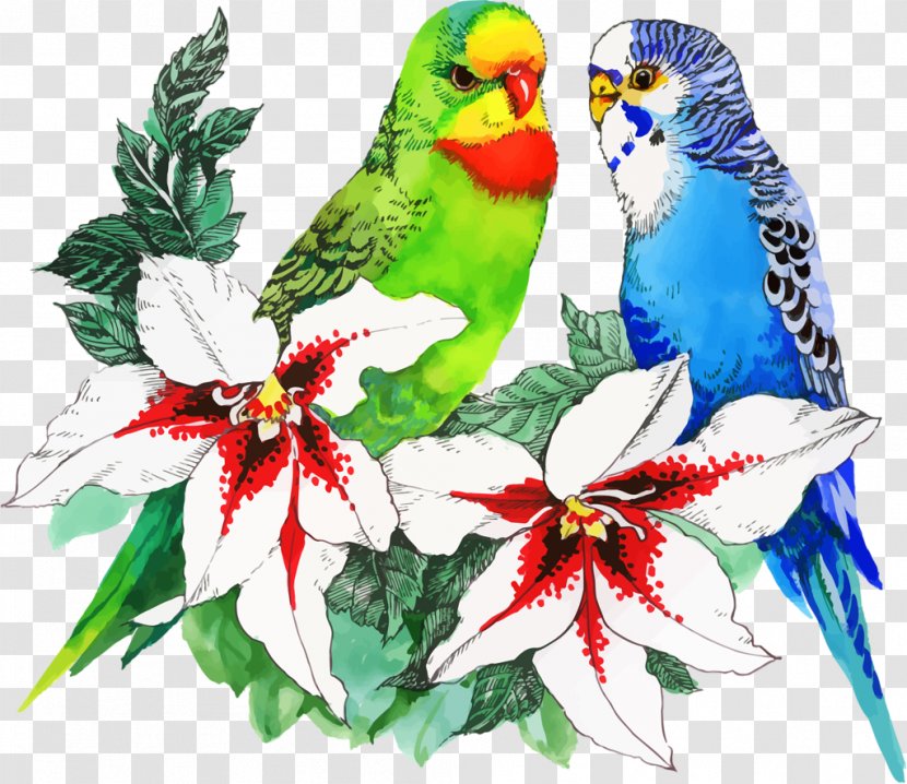 Bird Parrot Drawing Flower - Beak - Watercolor Animals Transparent PNG