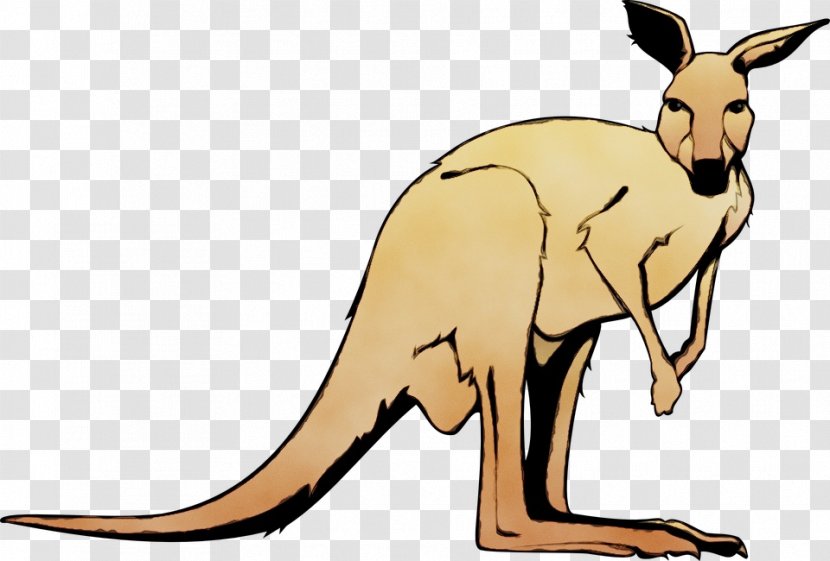 Kangaroo Macropodidae Red Wallaby - Paint - Tail Wildlife Transparent PNG