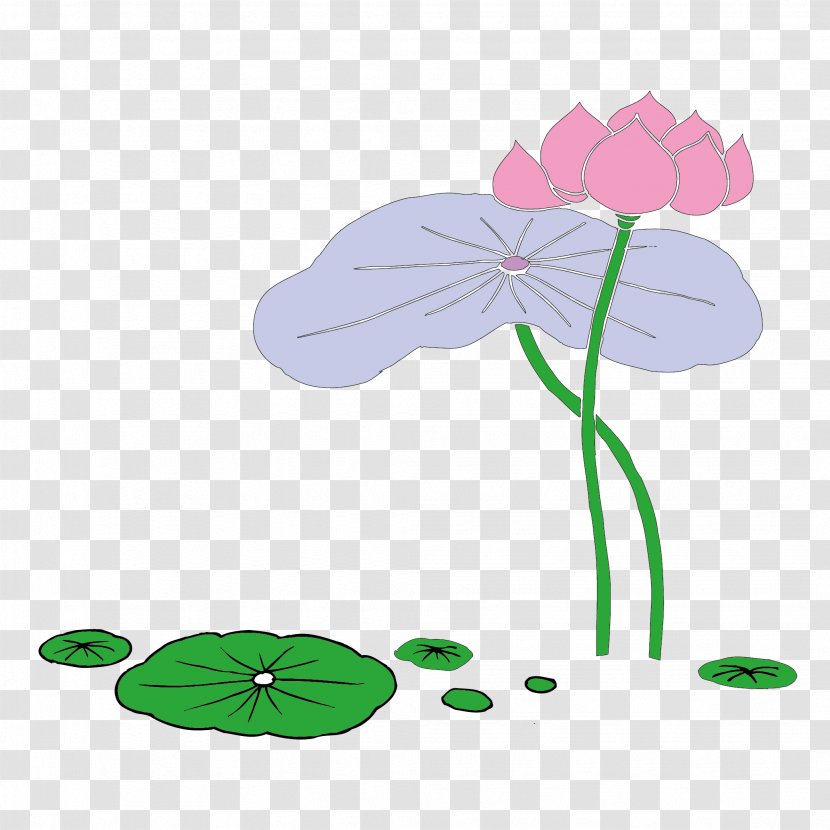 Clip Art - Petal - Chinese Traditional Buddhist Lotus Vector Transparent PNG