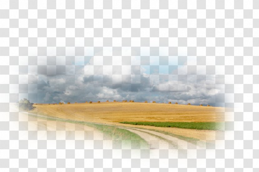 Desktop Wallpaper Energy Kolej Tuanku Ja'afar Ecoregion Grassland - Sky Transparent PNG