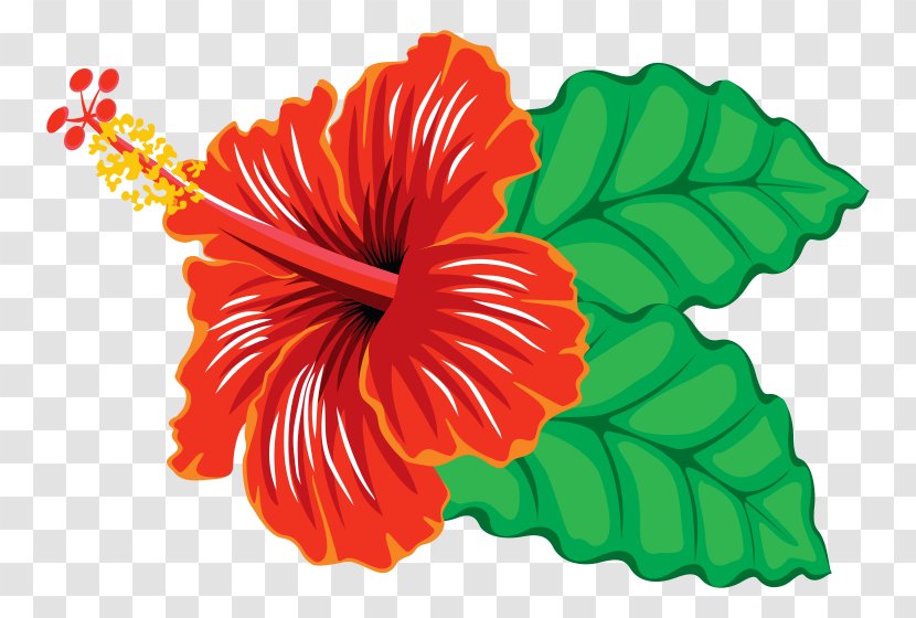 Hibiscus Schizopetalus Yellow Hawaiian Clip Art - Seed Plant - Cliparts Transparent PNG