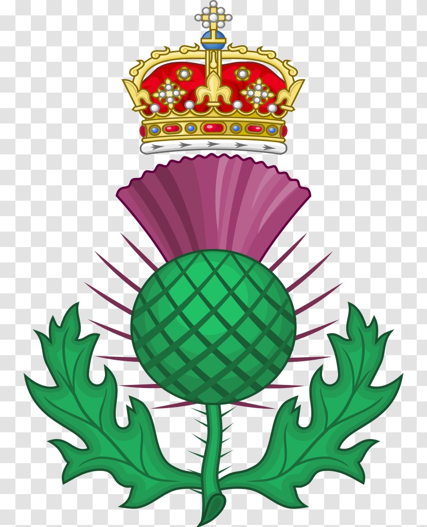 National Symbols Of Scotland Thistle - Plant - Royal Transparent PNG