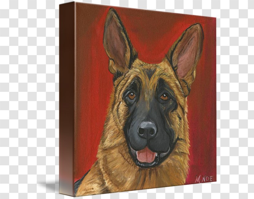 Old German Shepherd Dog King Kunming Wolfdog White - Painting Transparent PNG