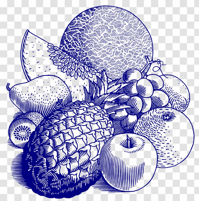 T-shirt Fruit Drawing Clip Art Image - Organism Transparent PNG