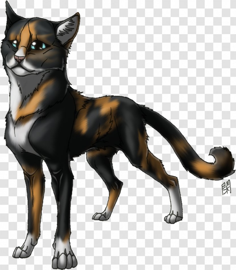 Whiskers Red Fox Cat Dog Breed - Fur Transparent PNG