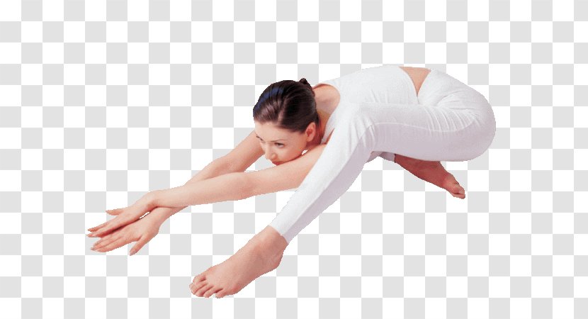 Yoga Weight Loss Asana Physical Exercise - Frame Transparent PNG