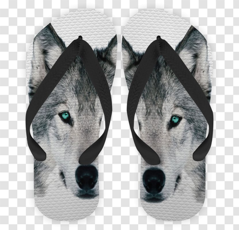 Siberian Husky Snout Shoe - Gray Wolf - Fatboy Slim Transparent PNG