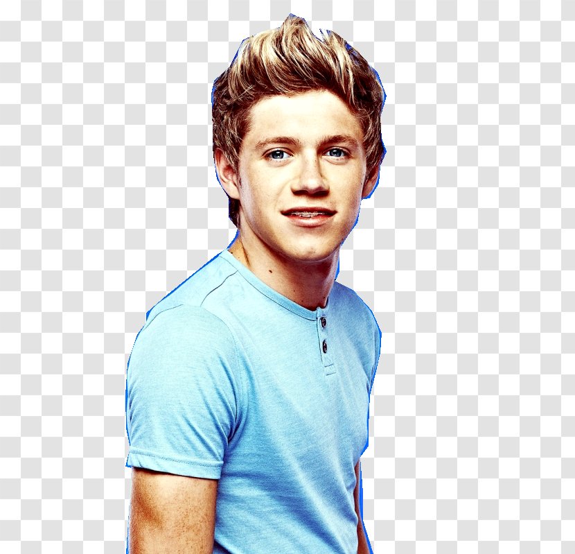 Niall Horan One Direction - Silhouette - Hayden Panettiere Transparent PNG