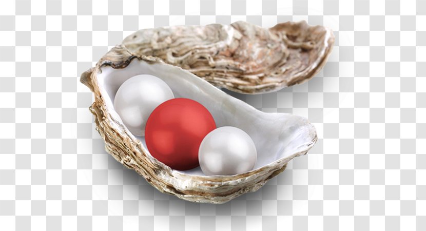 Oyster Clam Pearl Mask Egg - Dishware Transparent PNG