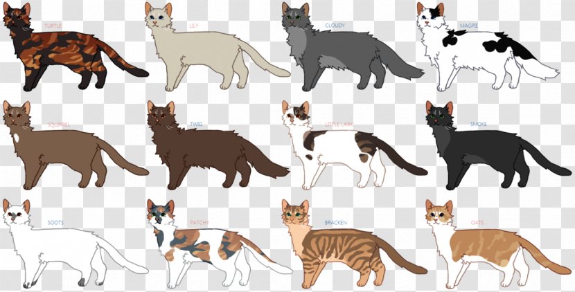 Whippet Italian Greyhound Cat Animal - Dog Breed - Newcomers Transparent PNG