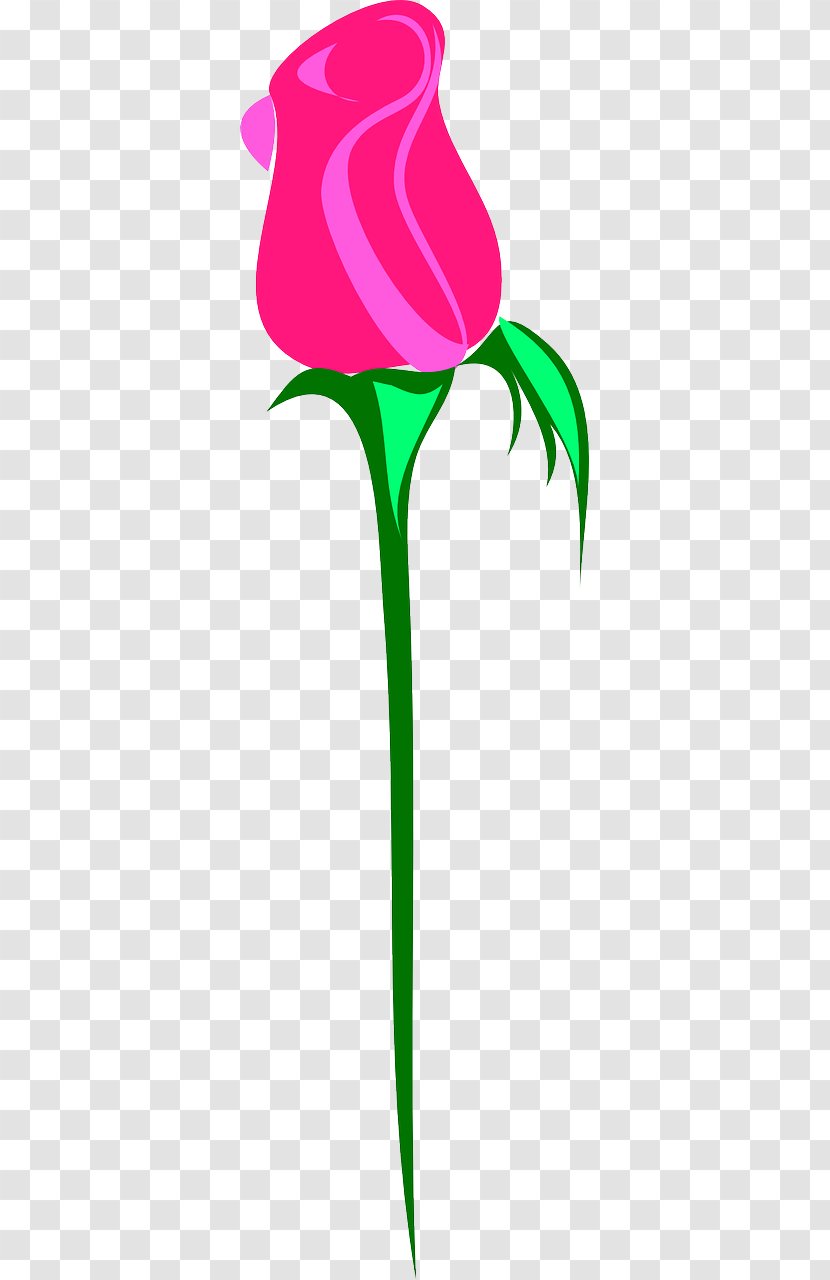 Rose Flower Bud Clip Art - Tulip - Tattoo Transparent PNG