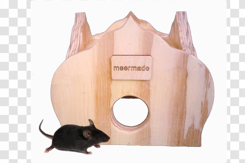 Cat Dog Mouse Rat Rodent Transparent PNG