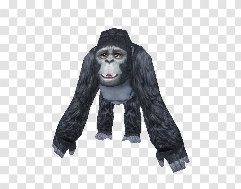 Gorilla Outerwear Great Apes - Ape - Mountain Transparent PNG
