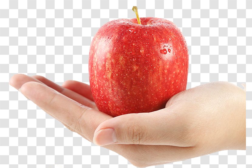 Apple Auglis - Natural Foods - FIG Holding Transparent PNG