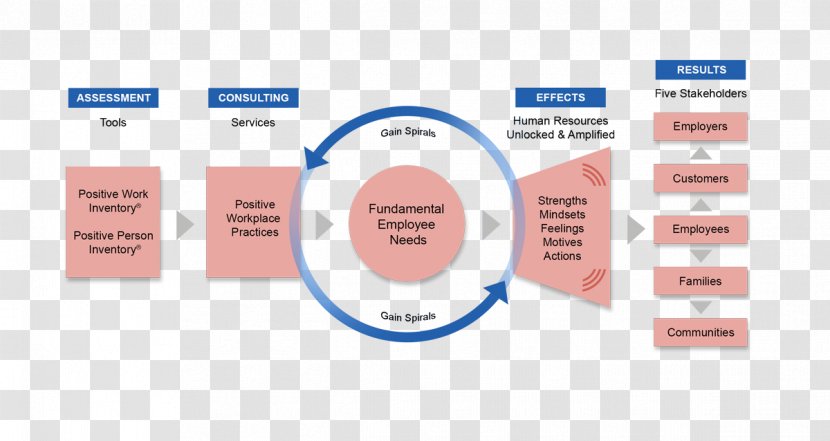 Brand Organization Diagram - Media - Organizational Framework Transparent PNG