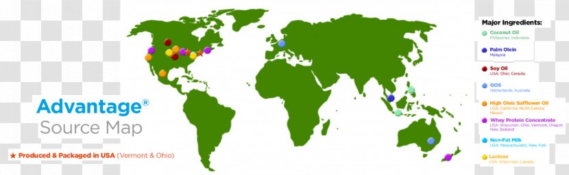 World Map Globe Earth - Flat - Genetically Modified Organism Transparent PNG